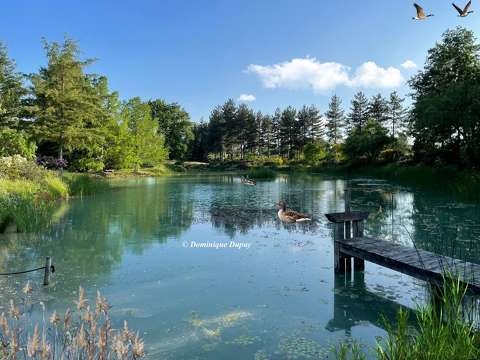 Sologne - France