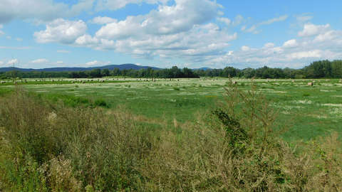Tokaj