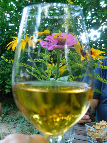 Tokaj, Hímesudvar pincészet - borkóstoló
