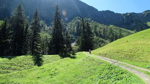 nyár