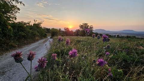 balaton bogáncs magyarország naplemente
