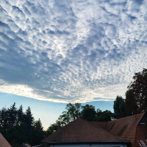 Felhő