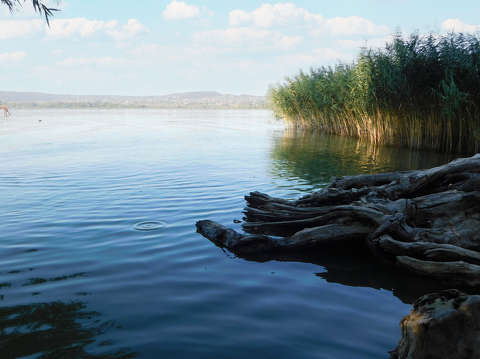 Balatonfűzfői csendélet