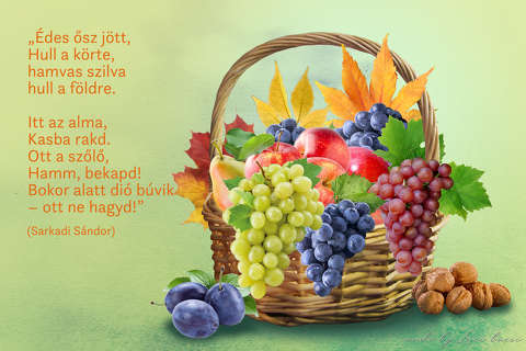 grafika, ősz