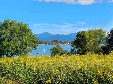 Chiemsee