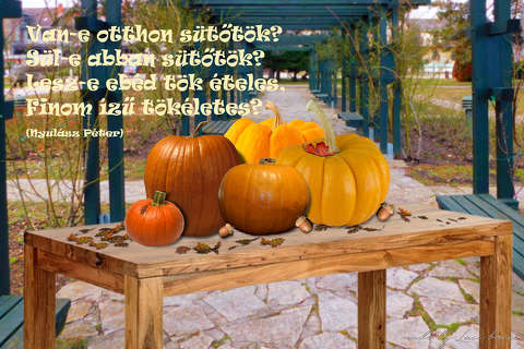fotó   grafika