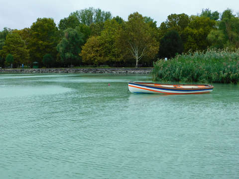 Balatoni csendélet egy esős reggelen - Balatonalmádi, Szent Erzsébet liget