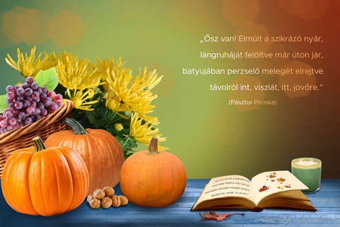 ősz, grafika