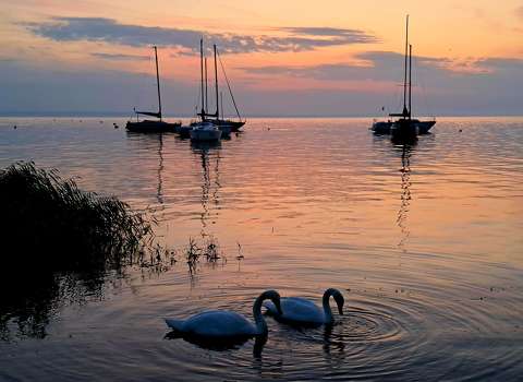 Csendélet a Balaton partján.