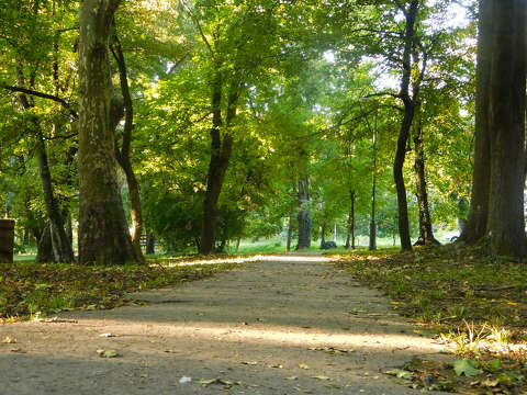 Dr-kert, Balatonfűzfő