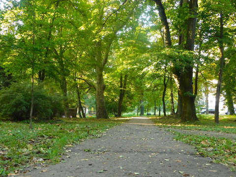 Dr-kert, Balatonfűzfő