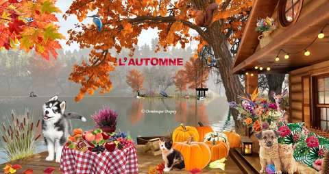 L'Automne