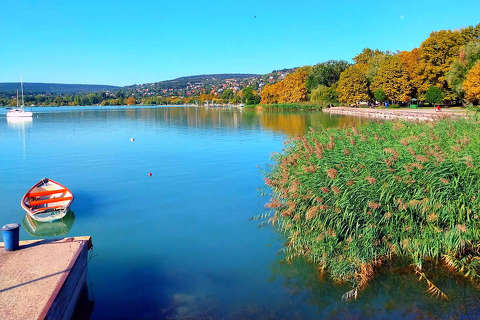 Balatonalmádi, csónak, Balaton, nádas