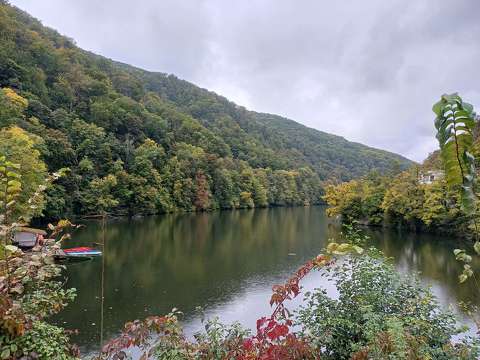 címlapfotó erdő hegy hámori-tó