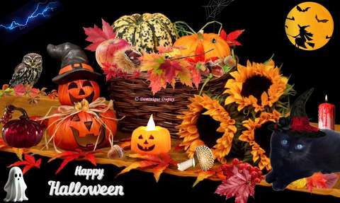 Halloween