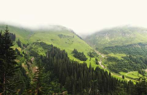 Alpok III.