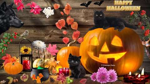 Happy Halloween - Création Domi