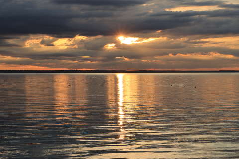Aranyban tündökló Balaton.