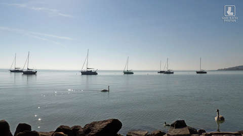 Balaton, Balatonalmádi, Magyarország, tó, vitorlás