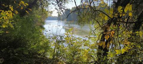 Mártély,Holt-Tisza.
