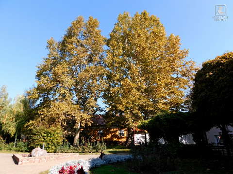 park
