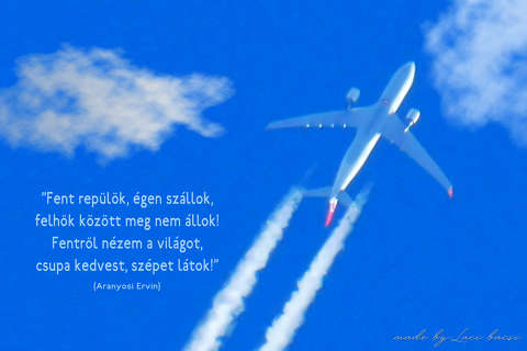 grafika   fotó
