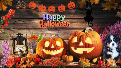 Happy Halloween - Création Domi
