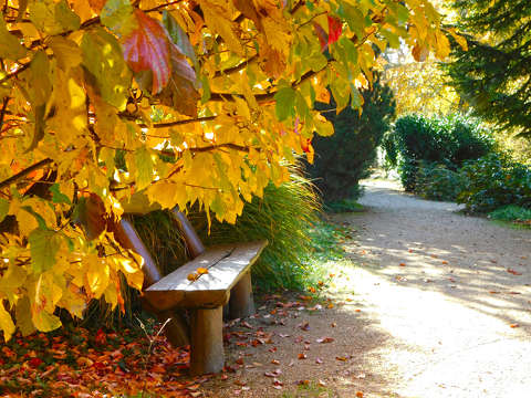 Zirci Ciszterci Apátság Arborétum, ősz