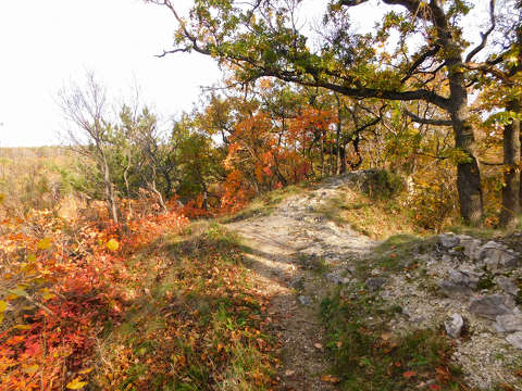 Balaton-felvidék zöldellő lankái