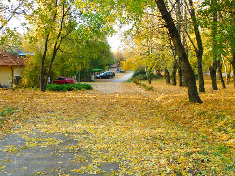 Balatonfűzfő, utca