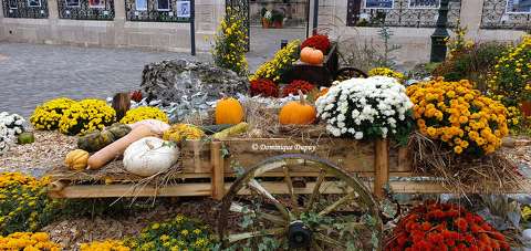 Automne à Orléans - Loiret - France
