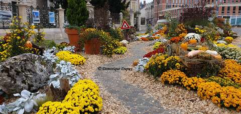 Automne à Orléans - Loiret - France