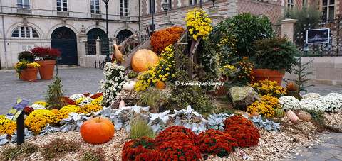 Automne à Orléans - Loiret - France