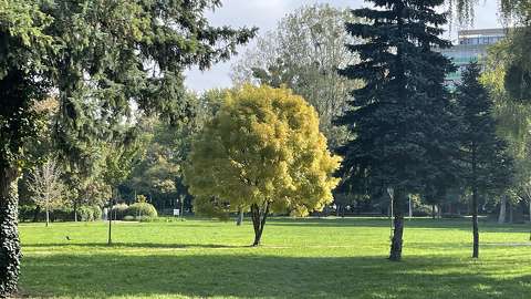 Zalaegerszeg