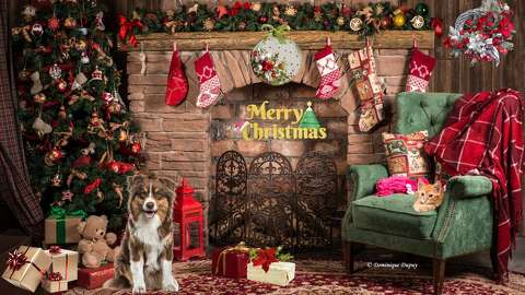 Joyeux Noël ! Création Domi