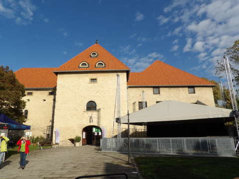 Szerencs, Vár