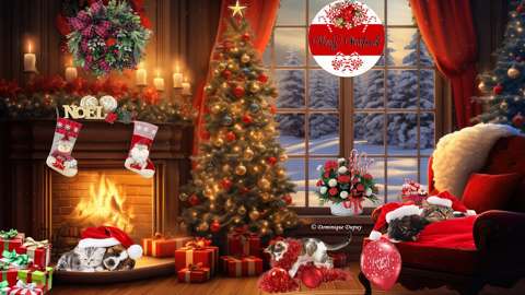 Joyeux Noël ! Création Domi