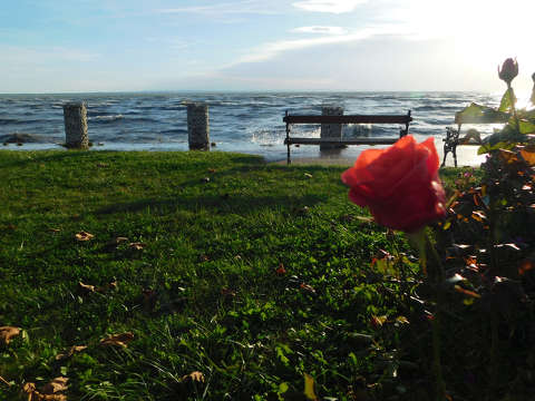 Balatonkenese