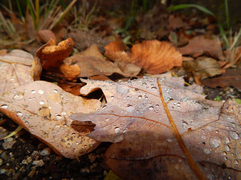 November
