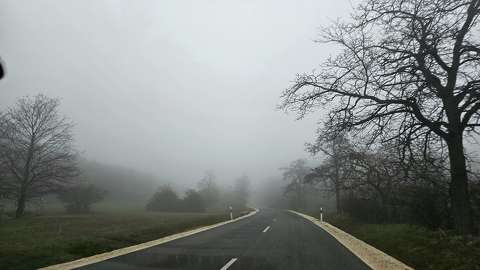 köd út ősz