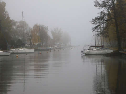 November, Balatonfűzfő, köd