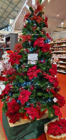 Sapin de Noël
