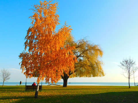 Balatonalmádi - strand