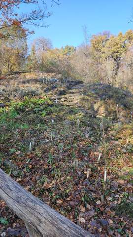 sziklakert