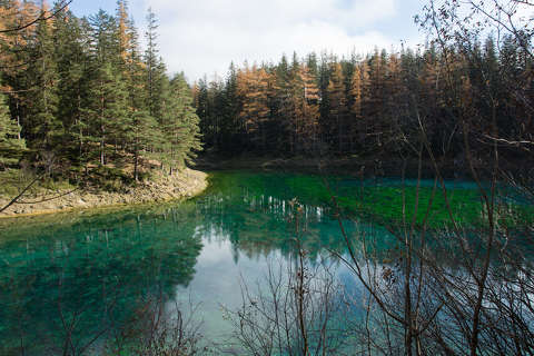 Grüner See