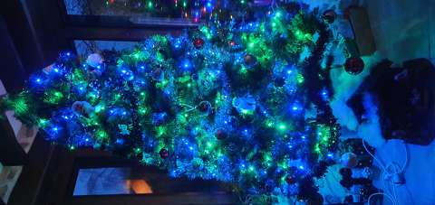 Sapin de Noël