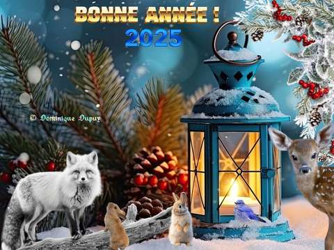 Happy New Year 2025 - Création Domi