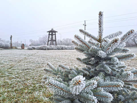 Balatonfűzfő, harangláb, zúzmara