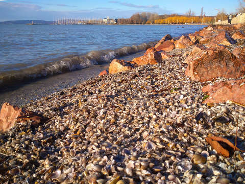 Balatonkenese, hullám, kagyló