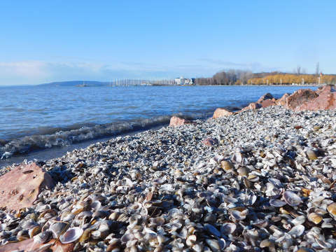 Balatonkenese, hullám, kagyló